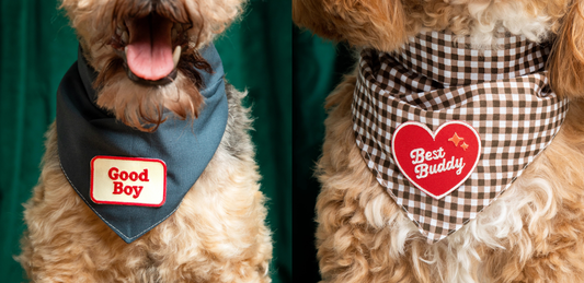 Scout's honour patches