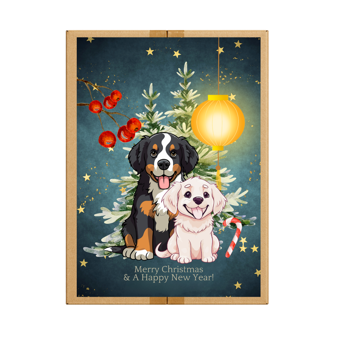 Kerst box 2026 (pre-order)