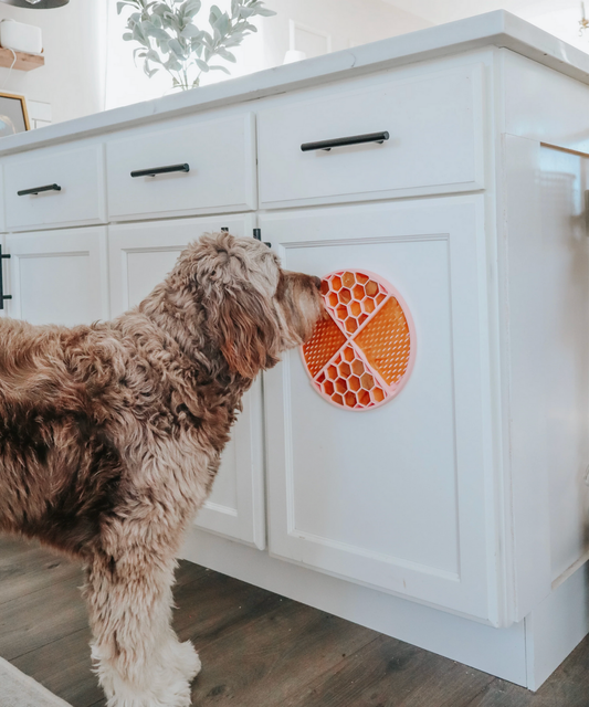 Sassy Woof Likmat Zalmrose