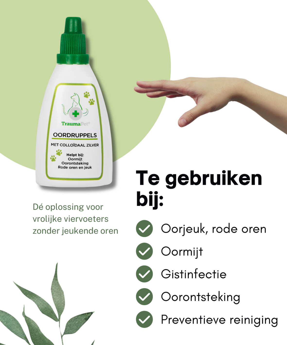 TraumaPet Oordruppels