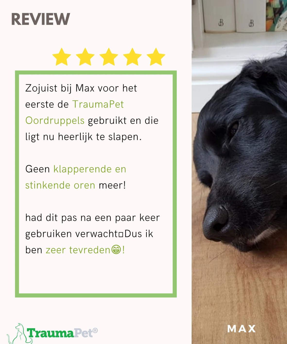 TraumaPet Oordruppels