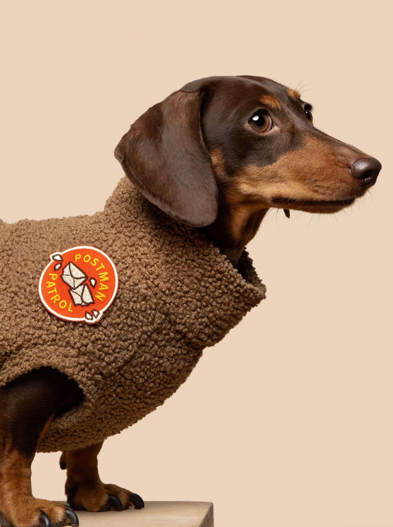 Iron-on Patch Postman patrol