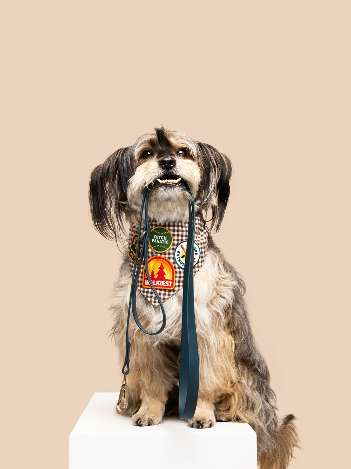 Iron-on Patch Walkies