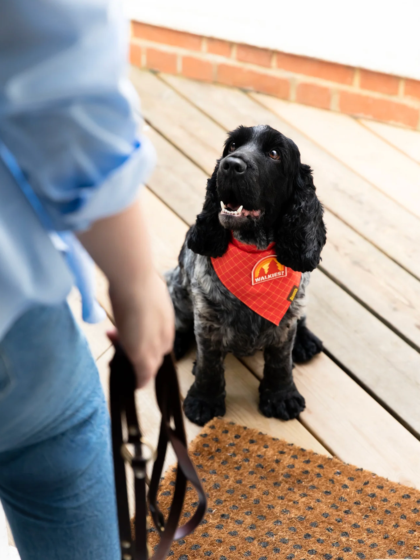 Iron-on Patch Walkies