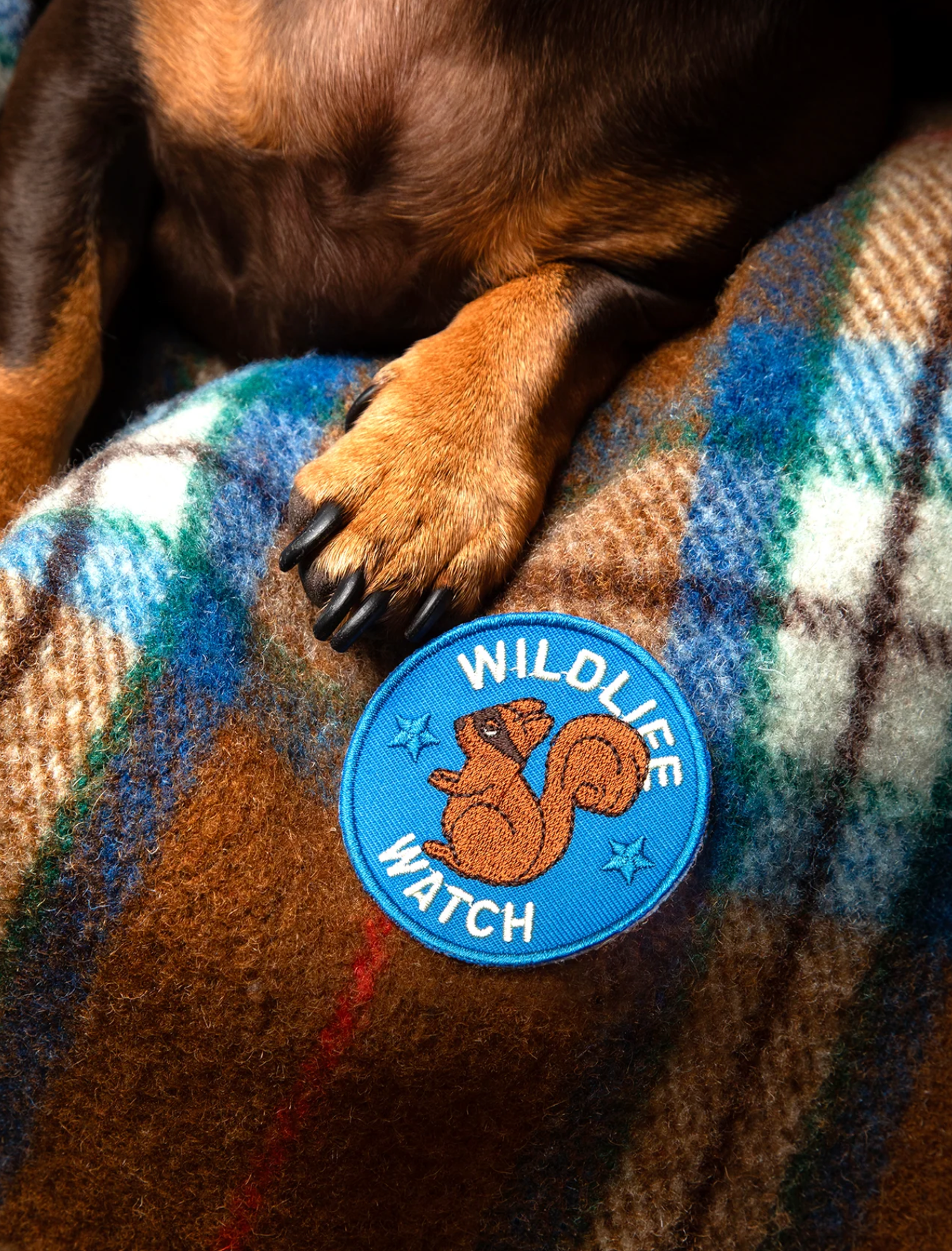 Iron-on Patch Wildlife watch