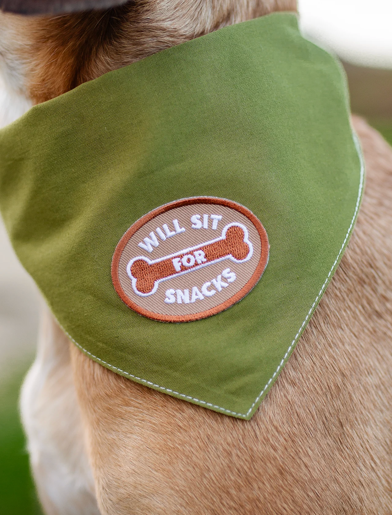 Iron-on Patch Will sit for snacks