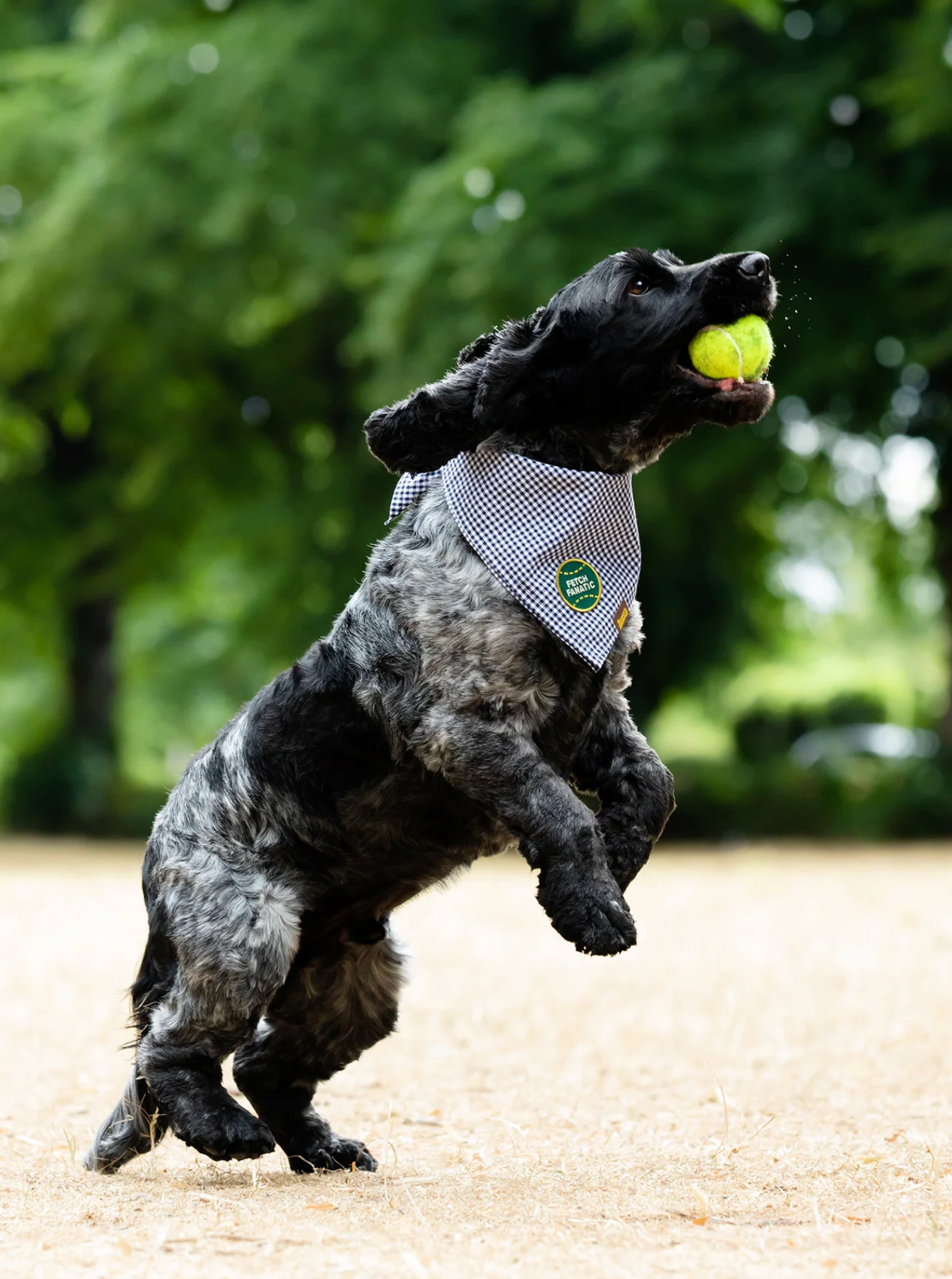Iron-on Patch Fetch fantastic