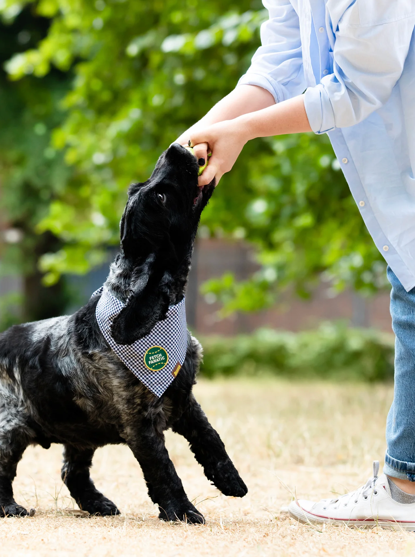 Iron-on Patch Fetch fantastic
