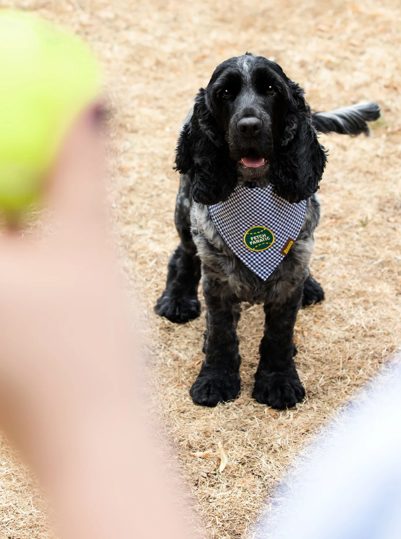 Iron-on Patch Fetch fantastic