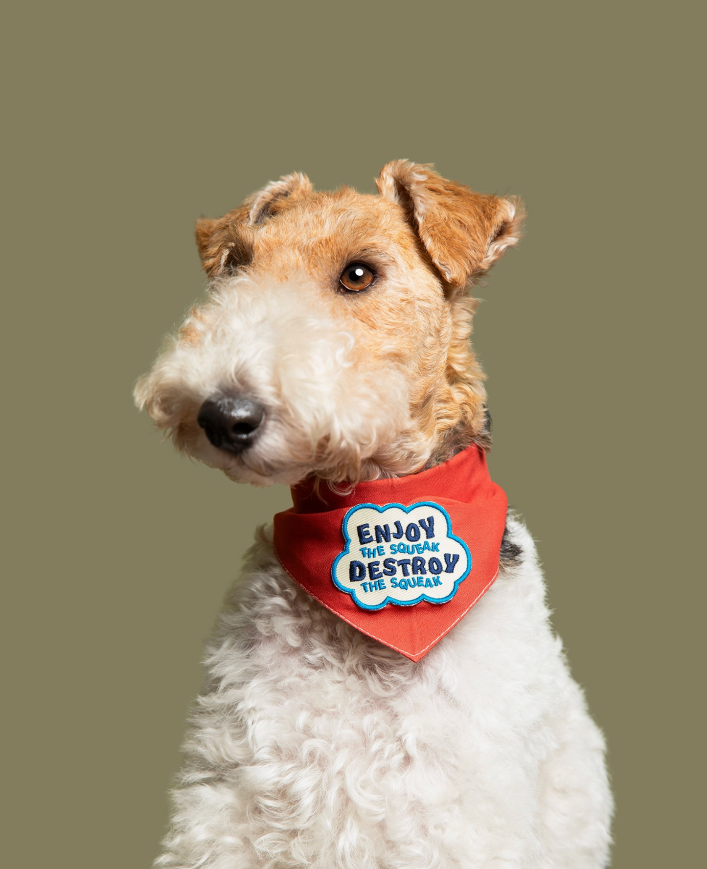 Iron-on Patch Enjoy the squeak