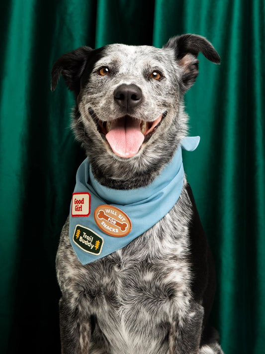 Iron-on Patch Good girl