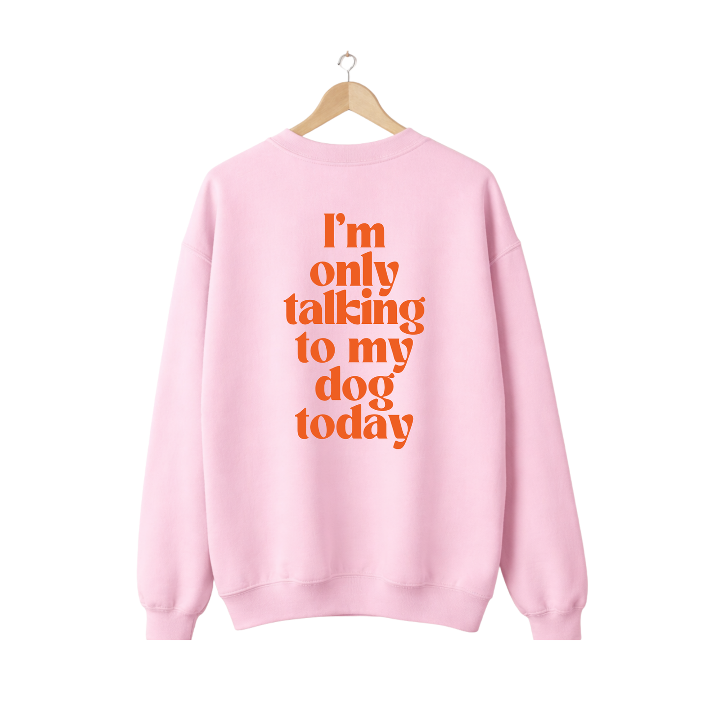 Sweater Only talking to my dog