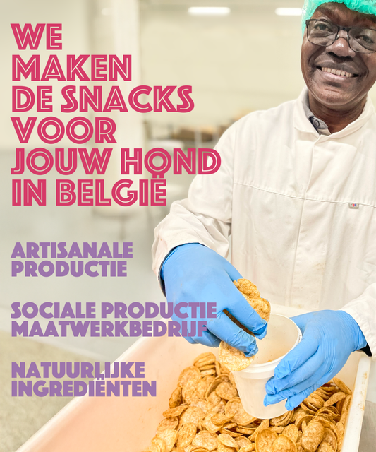 Smoofl Dog Chips - Eend