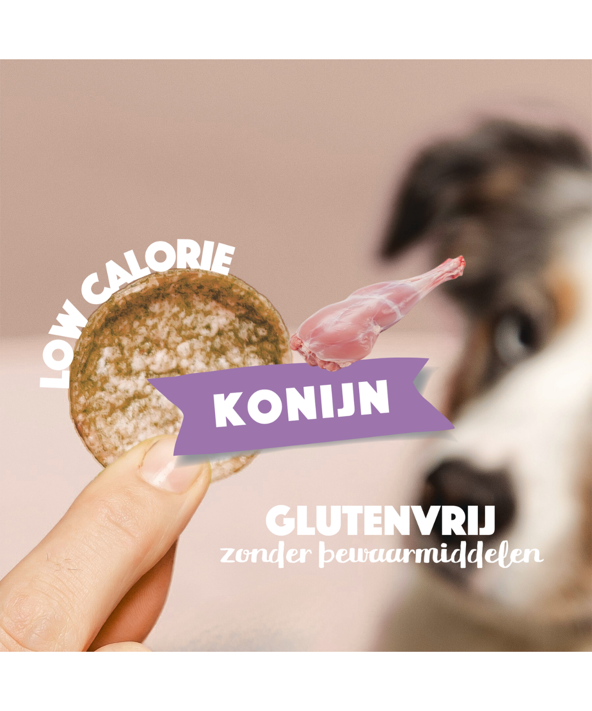 Smoofl Dog Chips - Konijn