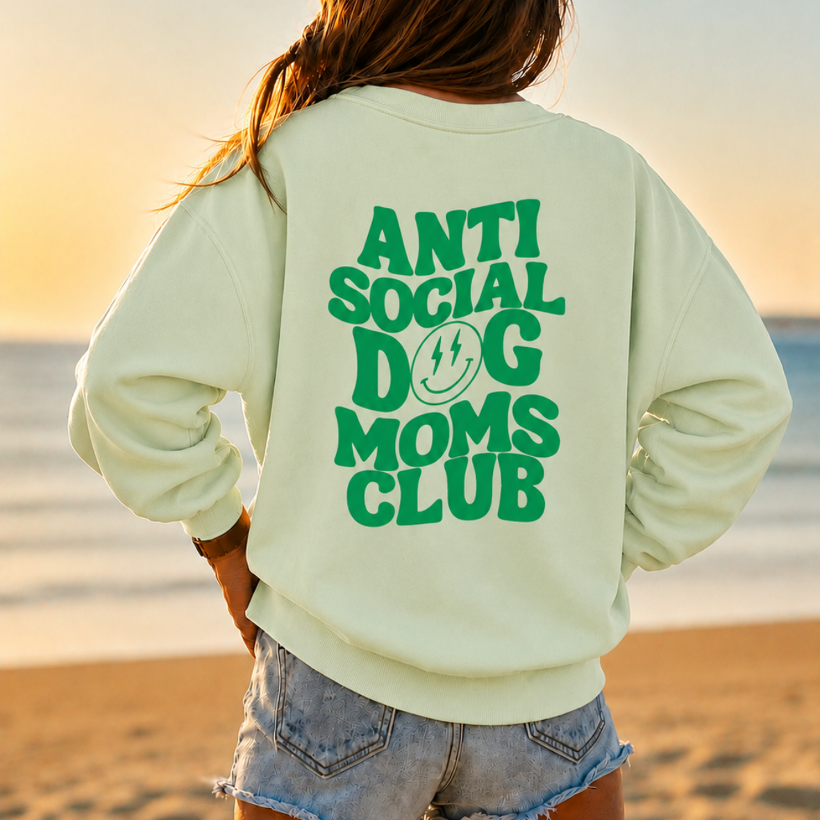 Sweater Anti social