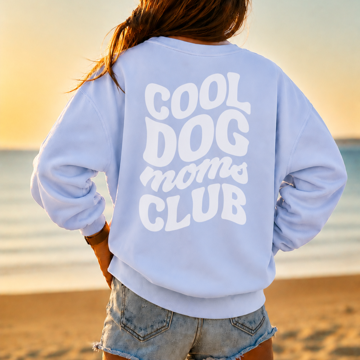 Sweater Cool dog