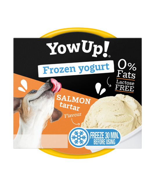 YOWUP! Frozen yoghurt zalmtartaar