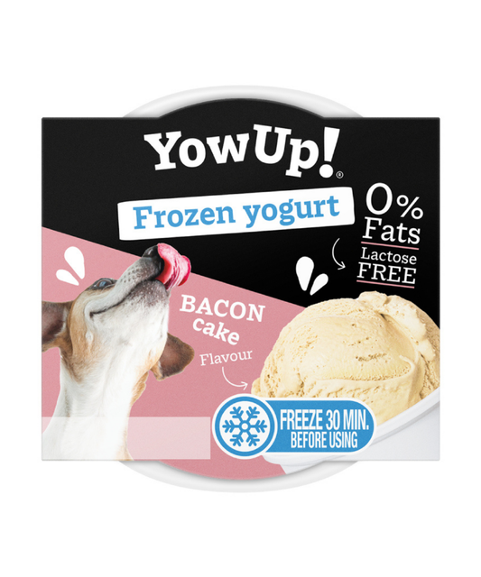 YOWUP! Frozen yoghurt bacon cake