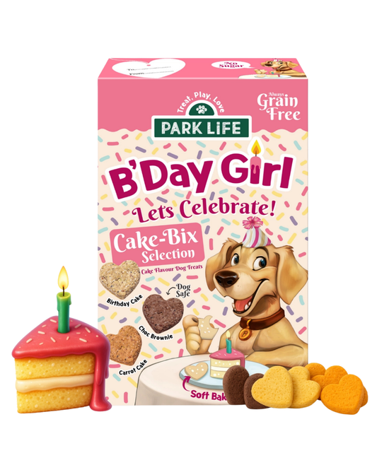 Cake Bix verjaardagsbox Girl
