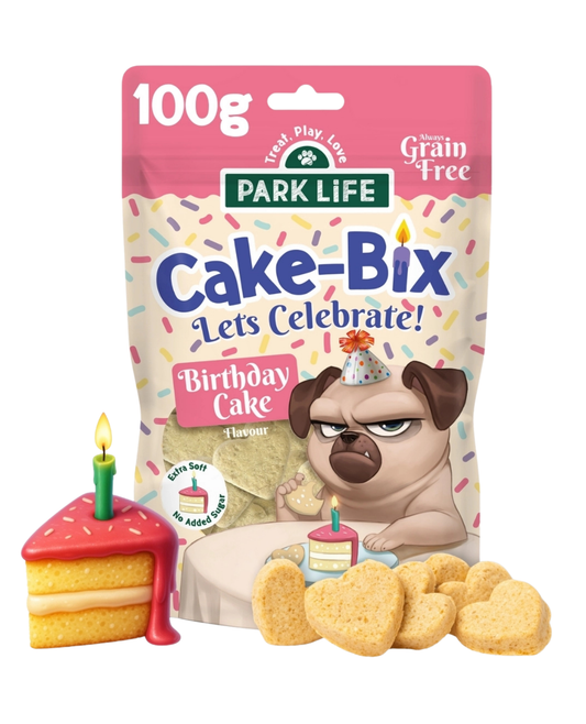 Cake Bix verjaardagstaart