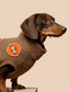 Iron-on Patch Postman patrol