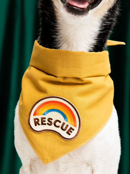 Iron-on Patch Rescue