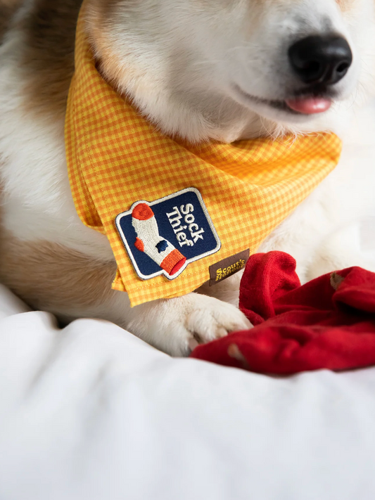 Iron-on Patch Sock thief