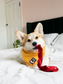 Iron-on Patch Sock thief