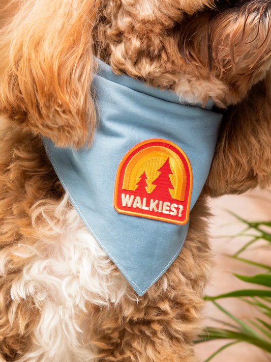 Iron-on Patch Walkies