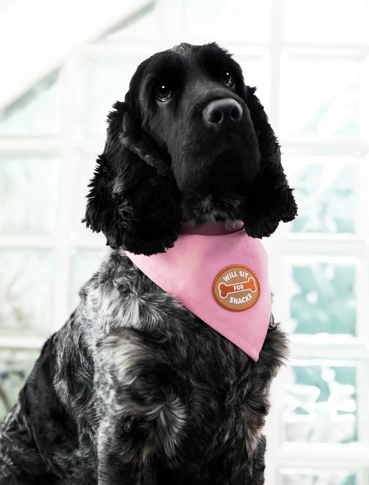 Iron-on Patch Will sit for snacks