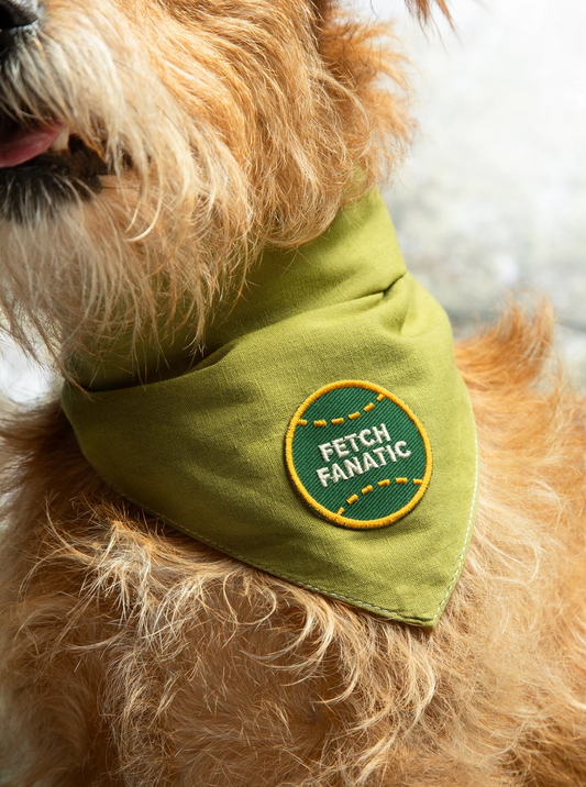 Iron-on Patch Fetch fantastic