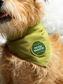 Iron-on Patch Fetch fantastic