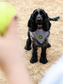Iron-on Patch Fetch fantastic