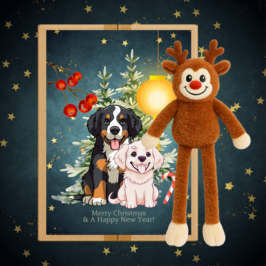 Kerst box 2026 (pre-order)